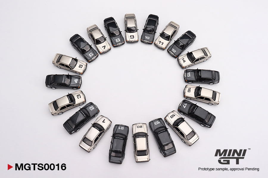 SHIPPING INCLUDED] MINI GT #MGTS0016 1984 Nürburgring Race