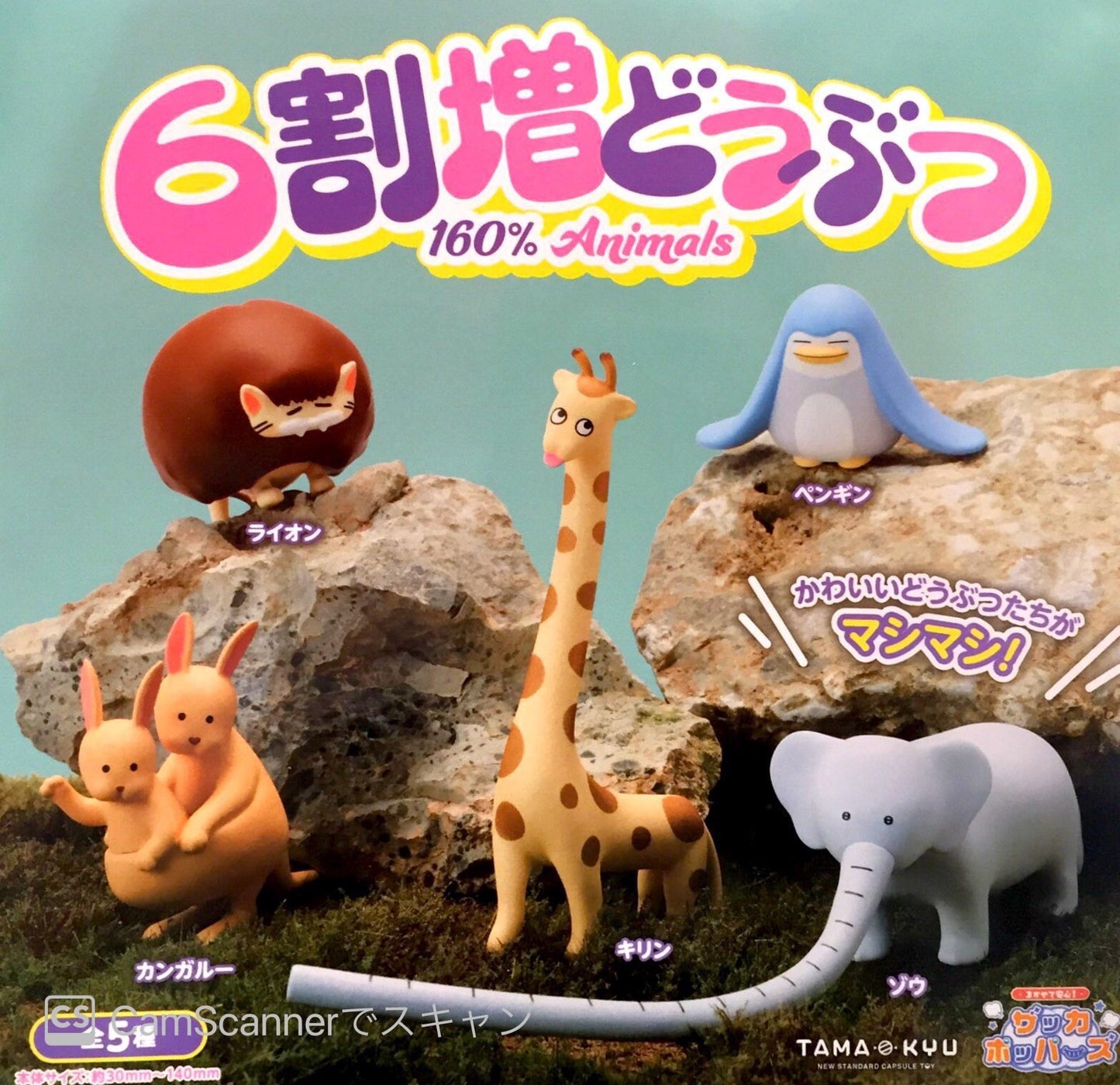 Tama Kyu 160% Animals Gashapon Complete Figures set of 5