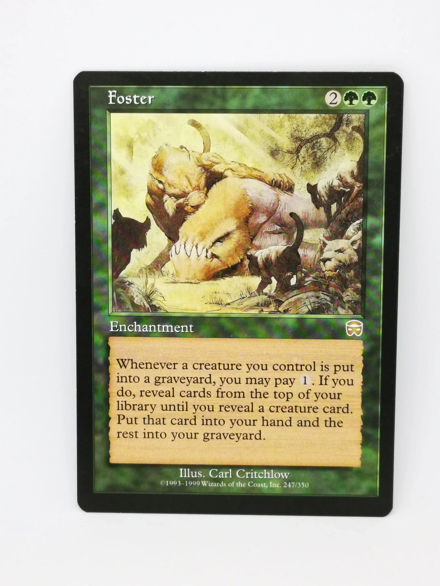 Foster