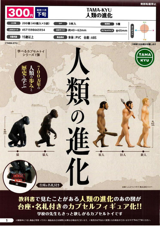Tama-Kyu Capsule Gashapon Human Evolution Set of 5