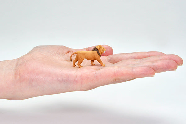 Kaiyodo x Tomica Limited Vintage DioColle 64 #CarSnap 32a Safari 4 (Nissan Truck 4x4 King Cab Included)