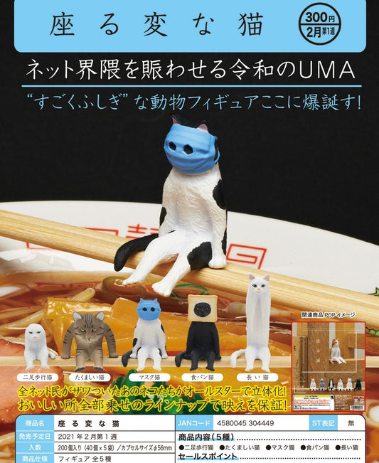 Kitan Club Strange Sitting Cat Capsule Gashapon Toy Complete Figures set of 5